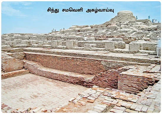 எனது இந்தியா!