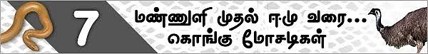மண்ணுளி முதல் ஈமு வரை! (மிரள வைக்கும் கொங்கு மோசடிகள் - 11)