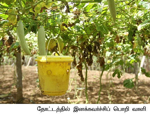 1 ஏக்கர்...6 மாதம்...ரூ.2,25,000