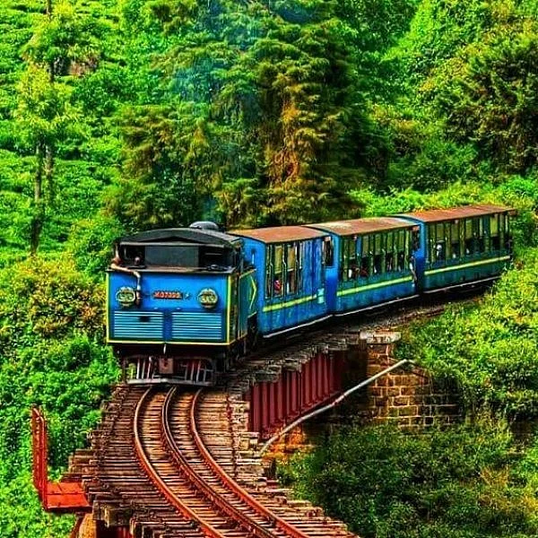 கோடை சீசனுக்குத் தயாராகும் ஊட்டி மலை ரயில் நிலையம்!