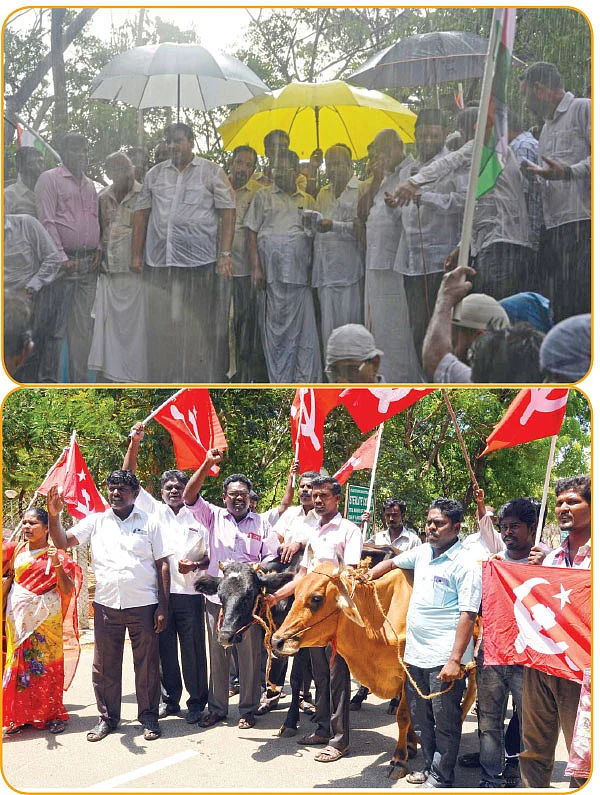 நாட்டுக்கும் வீட்டுக்கும் மாட்டுக்கும் கேடு!