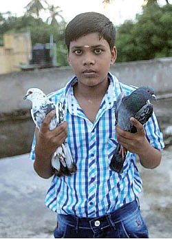 பாசத்தில் கிழியும் சட்டை!