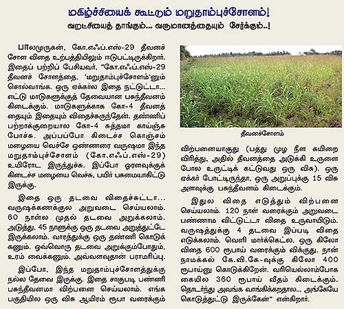 நாட்டுக்கோழி வளர்ப்பில் 'நச்'லாபம்