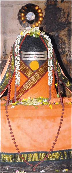 சிவம் தவம் தரிசனம்!