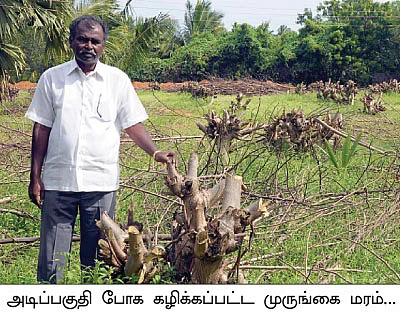 பராமரிப்புச் செலவுக்கு... தென்னை, வாழை...