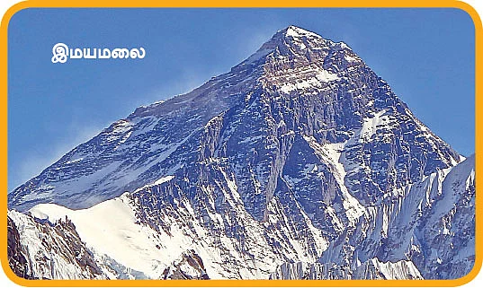 மை டியர் ஜீபா...