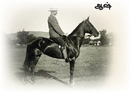 எனது இந்தியா!