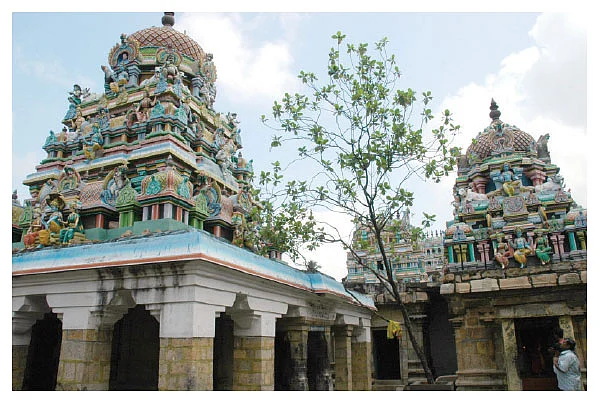 குரு பலம் அருளும் திருலோக்கி