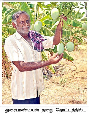 இயற்கை முறையில் இமாம்பசந்த்!