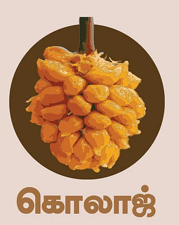 கலைடாஸ்கோப் - 50