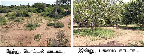 புதர் நிலத்திலும் புதையல் எடுக்கலாம்...