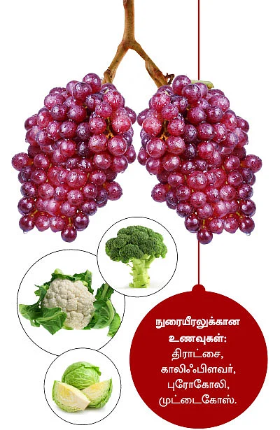 15 பாடிகாட்ஸ்! உச்சி முதல் உள்ளங்கால் வரை...