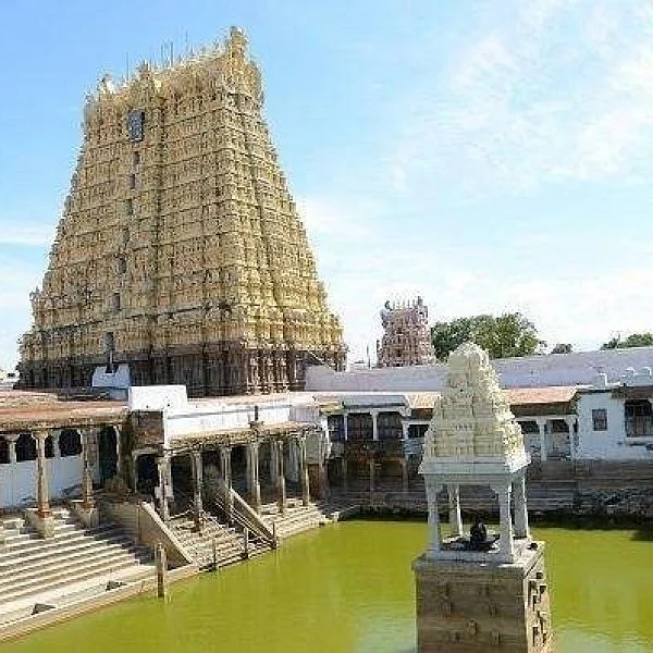 சங்கரநாராயணசாமி கோயில் - ஆடித் தபசு