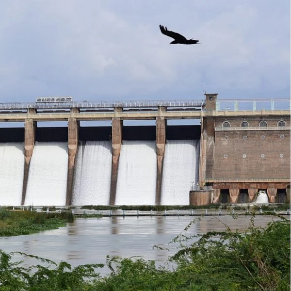 தமிழக அணைகள் தொடர்பான வழக்கு - தலைமைச் செயலாளர் பதிலளிக்க உயர்நீதிமன்ற மதுரைக் கிளை உத்தரவு!