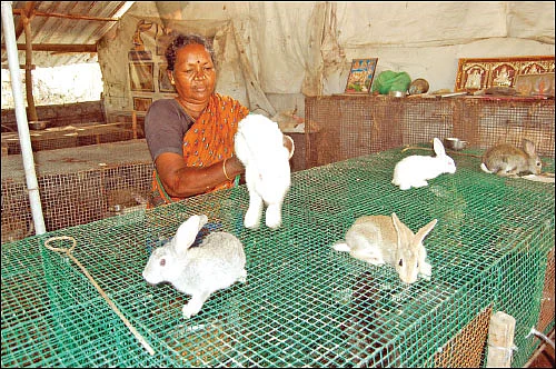 பணம் குவிக்கும் பண்ணைத்தொழில்கள் - 7 - மாதத்துக்கு ரூ. 45,000 லாபம்!