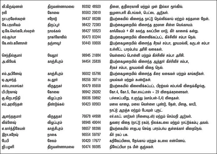 பசுமை சந்தை