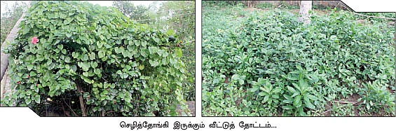 சமையலுக்கு இயற்கை எரிவாயு... தோட்டத்துக்கு இயற்கை உரம்....