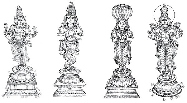 உள்ளங்கையில் சில உண்மைகள்