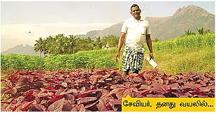 4 சென்டில் மாதம் ரூ.4,000...