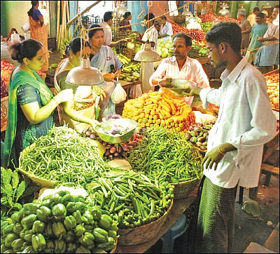 விளையும் விலையும்! - சந்தைக்கு வழிகாட்டும் தொடர்