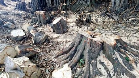 இன்னும் பிறக்காத எம் அடுத்த தலைமுறைக்கு ஒரு மன்னிப்பு கடிதம் #WhereismyGreenWorld