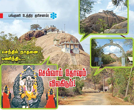 செந்தில் நாதனை பணிந்திட... செவ்வாய் தோஷம் விலகிடும்!