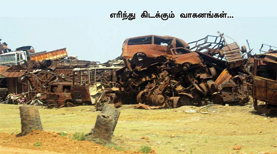 காட்டின் நடுவே ஒரு நீச்சல் குளம்!