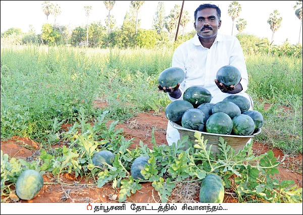 தாராள வருமானம் தரும் தர்பூசணி! - ஒரு ஏக்கர்... 75 நாள்கள்... ரூ 1.7 லட்சம் லாபம்!