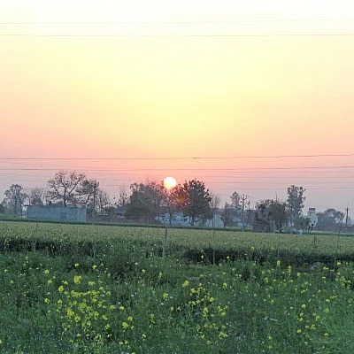 ‘கேன்சர்’ எக்ஸ்பிரஸ்!