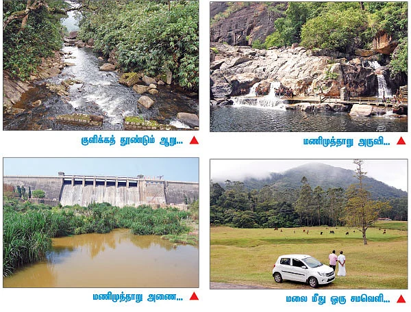மாஞ்சோலை மலையில் செலெரியோ!