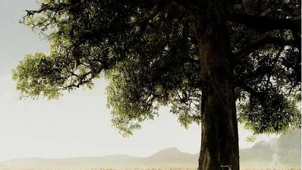tree