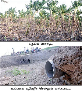 விளைநிலங்களுக்கு வேட்டு வைக்கும் உப்பளங்கள்...