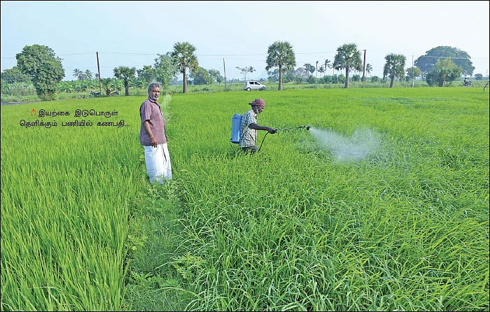 கொட்டிக் கொடுக்கும் கருத்தக்கார்... மதிப்புக் கூட்டினால் மகத்தான லாபம்!