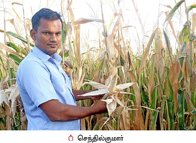 கதிர் இருக்கு... ஆனா, மணி இல்லை!