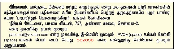 நீங்கள் கேட்டவை