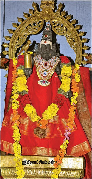 வேம்பாக மீனாட்சி... அரச மரமாக சொக்கநாதர்!