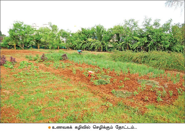 உணவகக் கழிவுகள் மூலம் காய்கறி உற்பத்தி... 100 கிலோ கழிவிலிருந்து 18 கிலோ இடுபொருள்!
