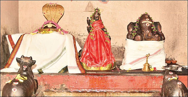 பக்தர்களைக் கவர்ந்திழுக்கும் காந்தமலை கந்தன்!