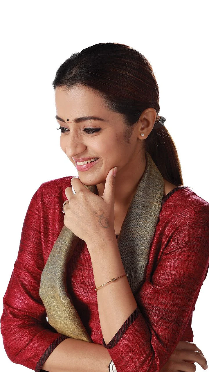 மிஸ்டர் மியாவ்