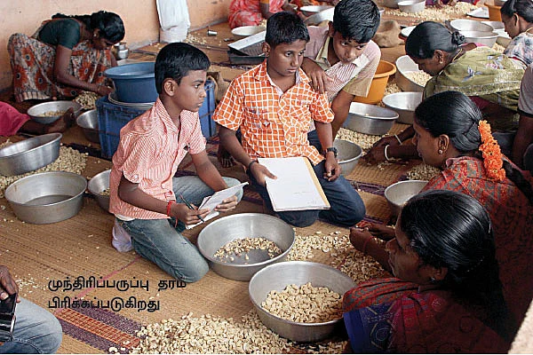 மணக்கும் மருங்கூர் முந்திரி!