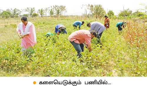 ’ஒரு நாள் விவசாயி!’