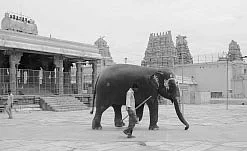 இதோ... எந்தன் தெய்வம்! - 40