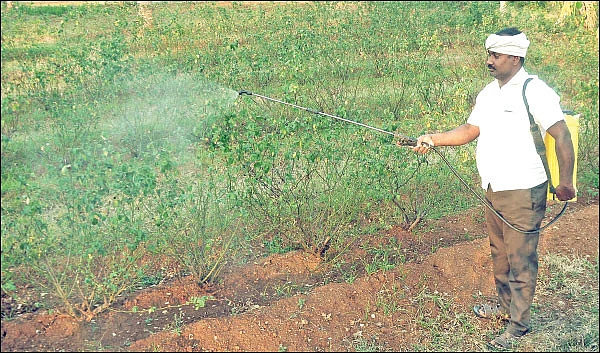 இயற்கை உரம் தயாரிக்க உதவும் இ.எம்!