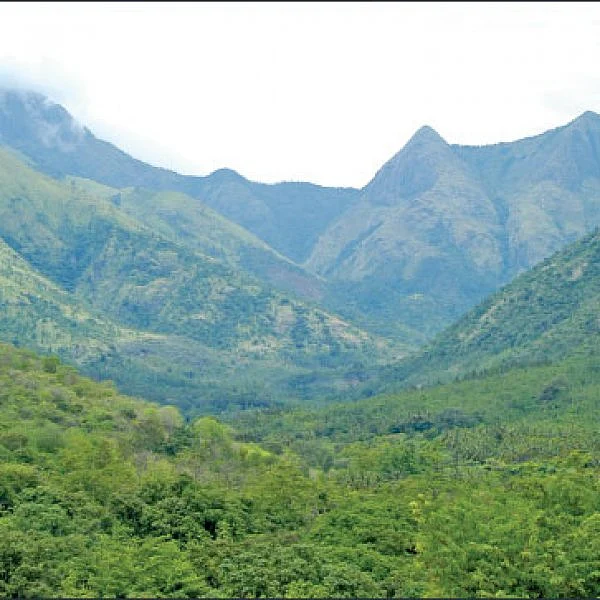 கொடைக்கானல் மலை