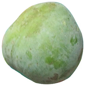 நோய்கள் தீர்க்கும் காய்கள், கனிகள்!