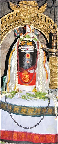 சிவம் தவம் தரிசனம்!