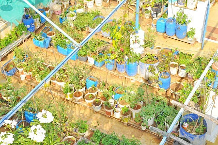 வீட்டுக்குள் விவசாயம் - 3