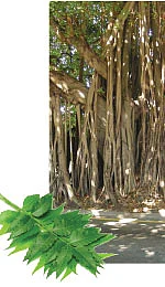 சக்தி சபா - உங்களுடன் நீங்கள்!