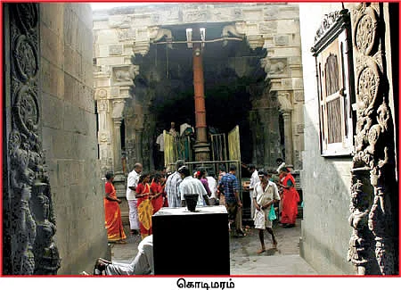 மயிலத்தில் மகா தரிசனம்