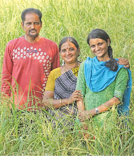 பாடில்லா மகசூல் கொடுக்கும் பாரம்பர்ய ரகம்!
